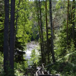 DSC_0340 DSC_0340
